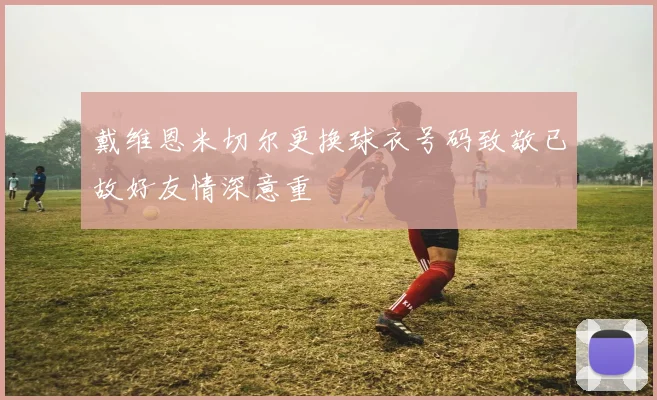 戴维恩米切尔更换球衣号码致敬已故好友情深意重